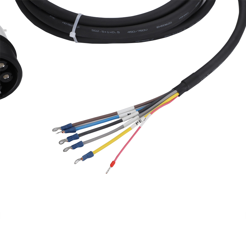 EV Charger Plug Met Kabel Type - Ev Charger Type 2 22Kw 32A 3 Phase recensie en prijs